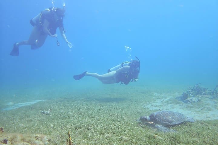 VIP Private Scuba & Snorkel Charter in St Kitts — Guided Coastal Cruise photo 3