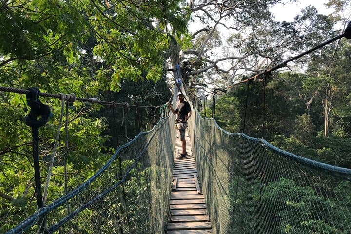 4-Day Tambopata Reserve Adventure: Sandoval Lake, Monkey Island & Zipline photo 2