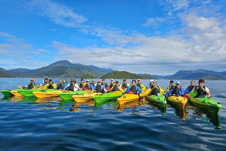 Explore Marlborough Sounds: Full-Day Guided Sea Kayak Adventure from Picton photo 4