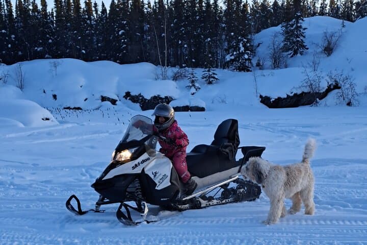 Explore Yellowknife’s Arctic Wilds on a Guided Snowmobile Adventure photo 4