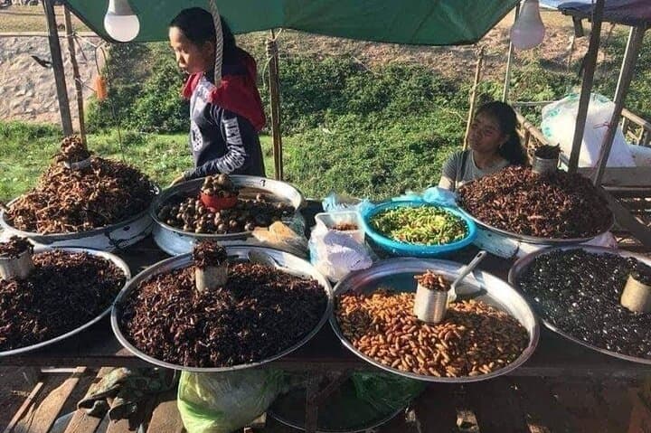 Siem Reap Countryside Sunset Bike Tour — Half-Day Small-Group Ride photo 4