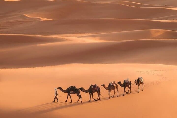 Fes to Marrakech 3-Day Desert Tour: Erg Chebbi Camels, Kasbahs & Atlas Pass photo 1
