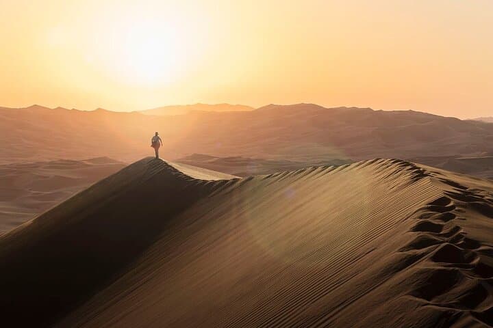 Morning Red Dunes Desert Safari & Short Camel Ride from Dubai photo 6