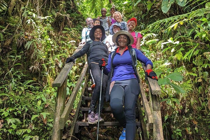 Boiling Lake & Titou Gorge: 7‑Hour Wildlife Discovery Hike in Dominica