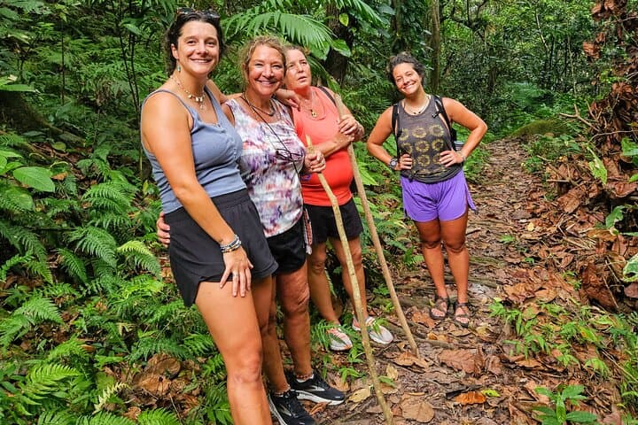Mindfulness Rainforest Hike and Volcanic Hot Springs on Nevis photo 4