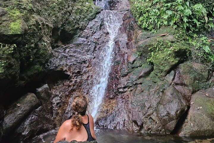 Rainforest Waterfall Hike on Nevis with a Rastafarian Guide — Waterfalls & Local Culture photo 2