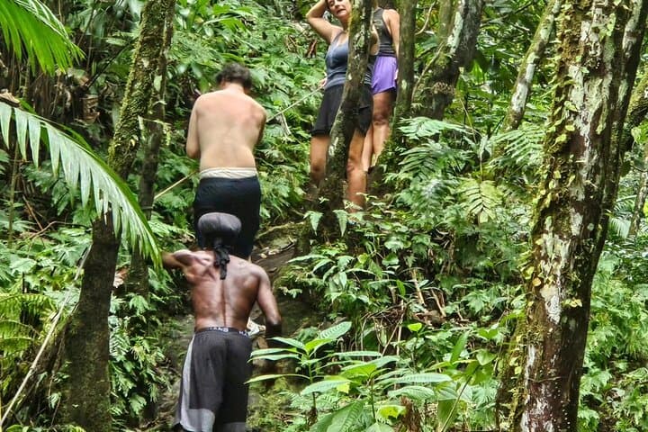 Rainforest Waterfall Hike on Nevis with a Rastafarian Guide — Waterfalls & Local Culture photo 3