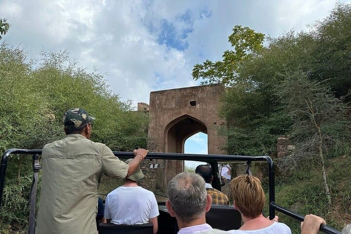 Two-Night Ranthambore Safari: Tiger Drives, Fort Visits & Chambal Boat Trip photo 1