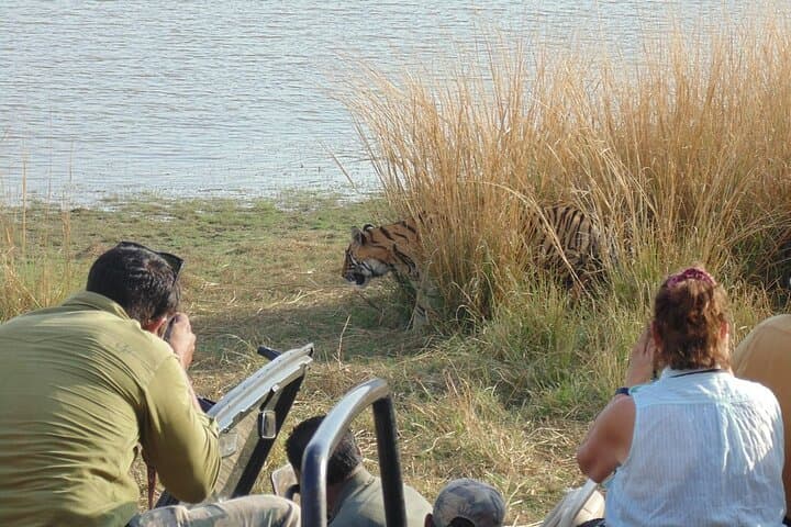 Two-Night Ranthambore Safari: Tiger Drives, Fort Visits & Chambal Boat Trip photo 4