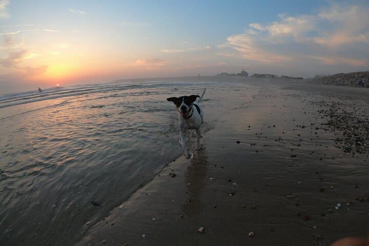 4-Hour Surf Lesson at Maceda Beach — Beginner-Friendly Waves from Porto photo 4