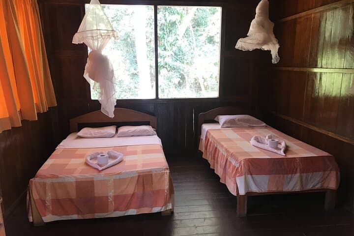 4-Day Tambopata Reserve Adventure: Sandoval Lake, Monkey Island & Zipline photo 3