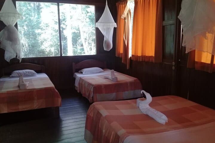 4-Day Tambopata Reserve Adventure: Sandoval Lake, Monkey Island & Zipline photo 4
