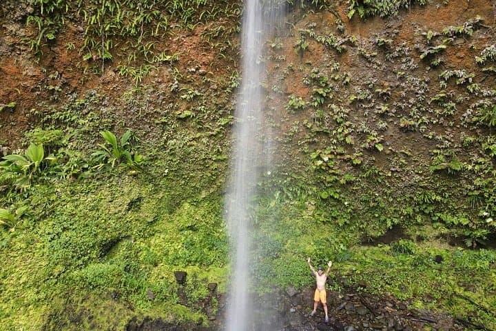 Wildlife Hike to Middleham Falls — Guided Foraging, Waterfall Swim & Native Flora in Dominica