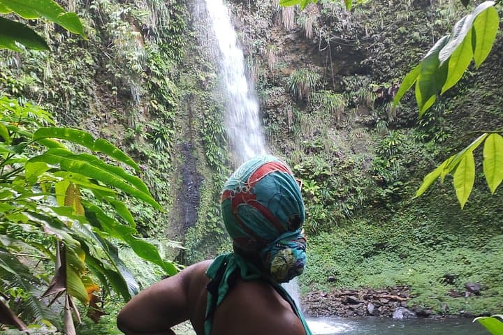 Wildlife Hike to Middleham Falls — Guided Foraging, Waterfall Swim & Native Flora in Dominica photo 2