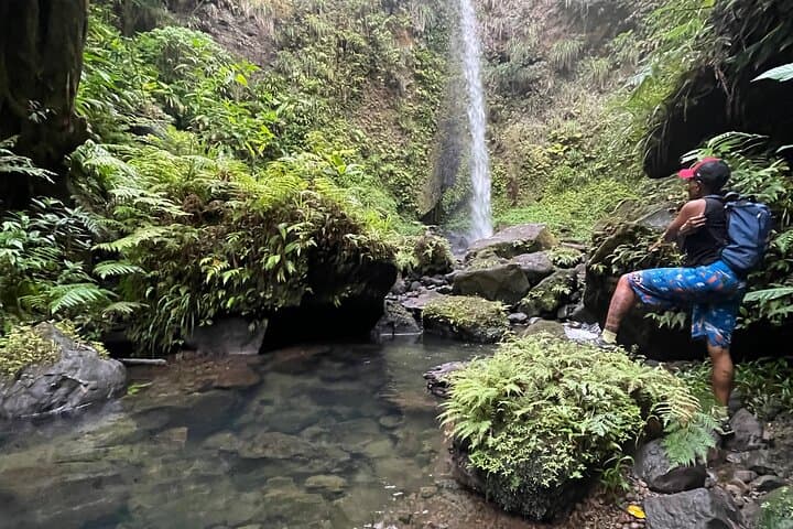 Wildlife Hike to Middleham Falls — Guided Foraging, Waterfall Swim & Native Flora in Dominica photo 6