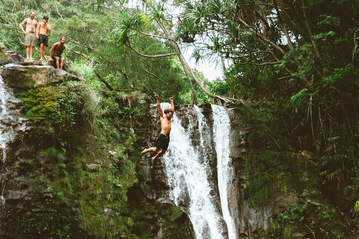 Private Road to Hana Tour with Pro Photography — Skip the Crowds and See the Real Jungle photo 6