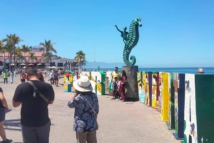 Private Puerto Vallarta City Tour and Tequila Tasting