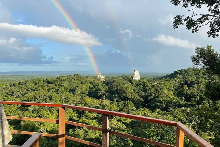 Tikal Private Tour from Flores: Full-Day Ruins, Wildlife & Lunch