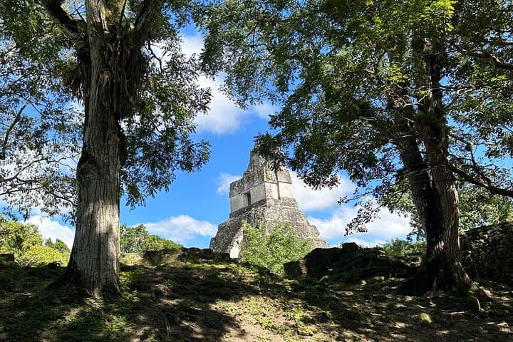 Tikal Private Tour from Flores: Full-Day Ruins, Wildlife & Lunch photo 2