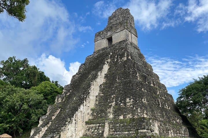 Tikal Private Tour from Flores: Full-Day Ruins, Wildlife & Lunch photo 3