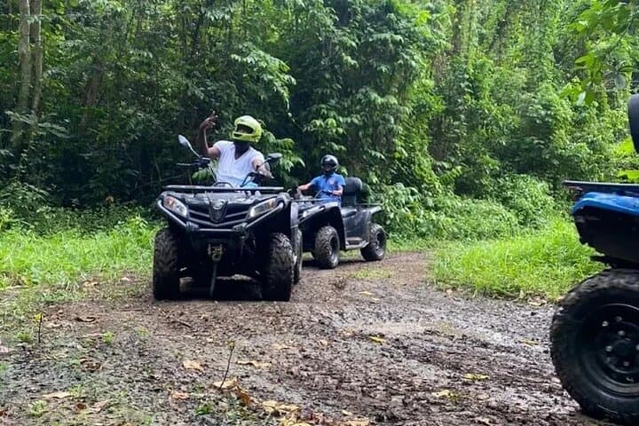 Rev Up: ATV Rainforest Ride and Rick’s Cafe Sunset Adventure photo 2