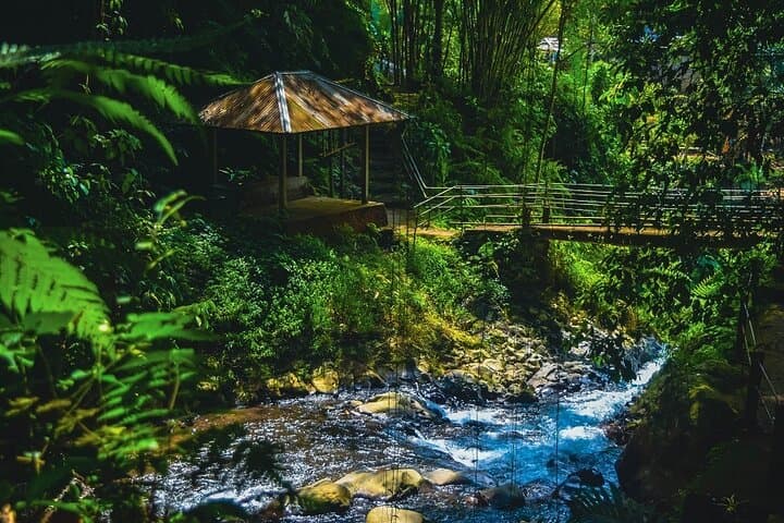 Bedugul and Singaraja: North Coast Bali Day Tour to Lake Bratan & Gitgit photo 5