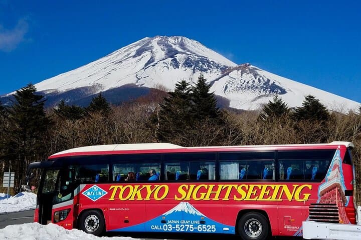 Mt Fuji & Hakone Day Trip from Tokyo: Sky Gondola, Lake Cruise & 5th Station