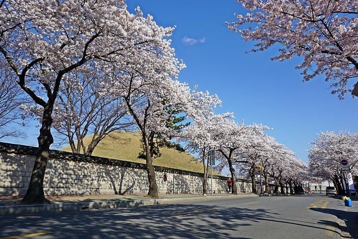 Gyeongju Private Tour: Bulguksa, Seokguram & Historic Silla Sites (8-Hour) photo 3
