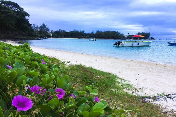 South–Southeast Mauritius: From Clifftop Vistas to Blue Bay Reefs photo 2