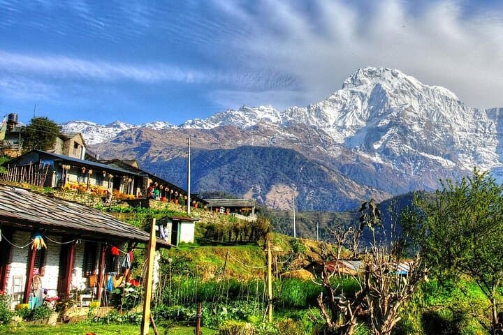 Ghandruk Gurung Village: 2-Day Easy Hike & Cultural Stay from Pokhara photo 5