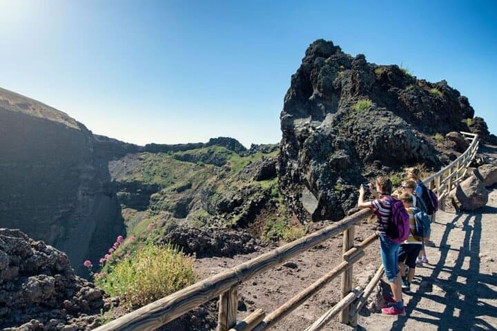 Mount Vesuvius Hike from Sorrento: Crater Rim Views & Pompeii Access photo 3