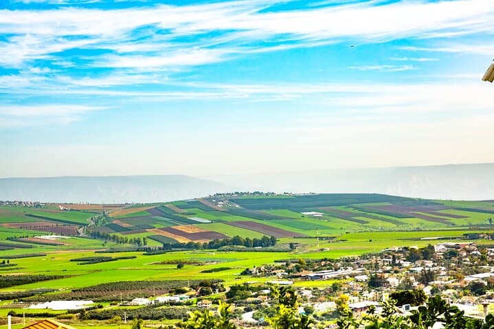 Full-Day Galilee & Golan Heights Wine Tour from Tel Aviv — Wineries, Views & Lunch