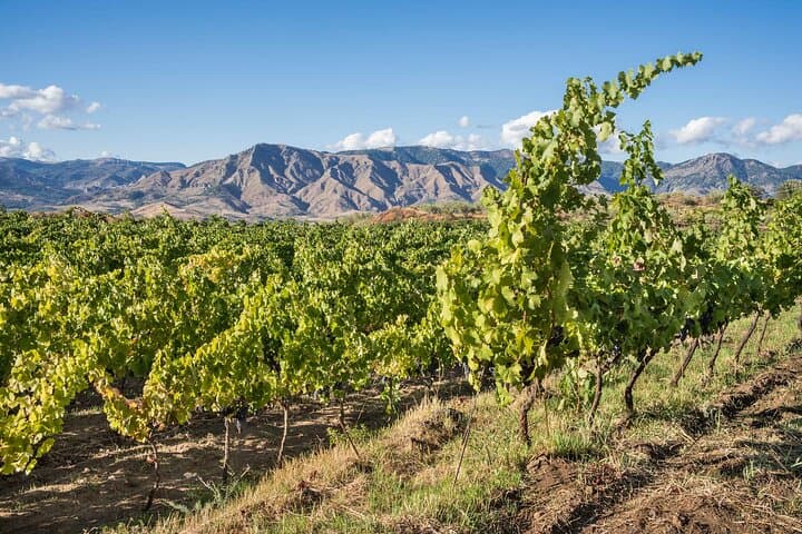 Authentic Sicily: 8-Day Private Tour of Etna, Baroque Towns & Wineries photo 3