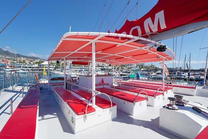 Tenerife Catamaran Whale & Dolphin Tour with Lunch — Puerto Colón photo 2