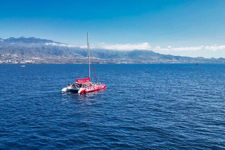 Tenerife Catamaran Whale & Dolphin Tour with Lunch — Puerto Colón photo 3