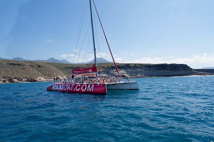 Tenerife Catamaran Whale & Dolphin Tour with Lunch — Puerto Colón photo 4