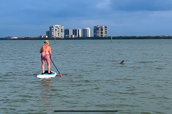 Big Hickory Island SUP EcoTour: Self-Guided Paddleboard Rental in Bonita Springs photo 3
