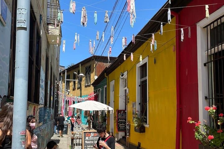 3-Day Valparaíso & Casablanca: Penguin Island, Wineries & Ritoque Dunes photo 6