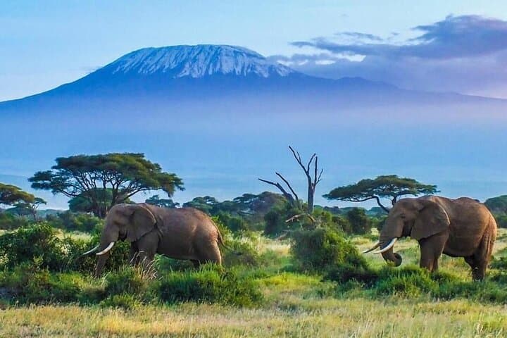 Kilimanjaro Machame Route: 7-Day Summit Trek Guide photo 2