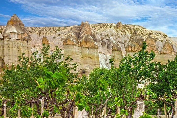Cappadocia Private Wine Tour: Half-Day Tastings at Turasan, Gülor & Kocabag photo 1