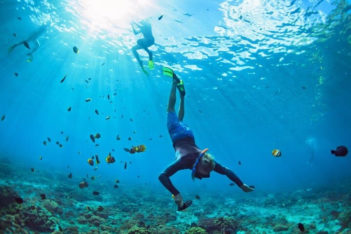Snorkel the Molinere Underwater Sculpture Park — Grenada Half-Day Private Cruise