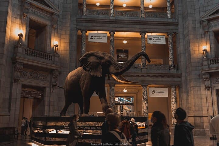 Private Smithsonian Walk: American History & Natural History in 3 Hours photo 2