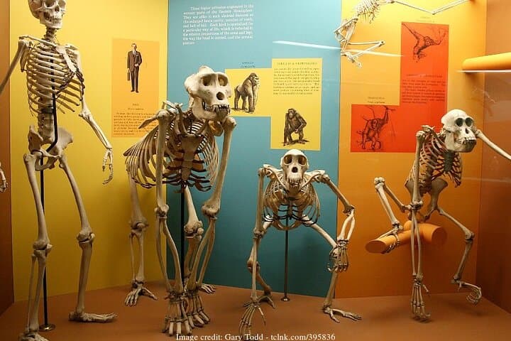 Private Smithsonian Walk: American History & Natural History in 3 Hours photo 3
