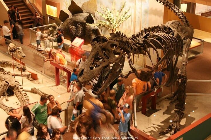 Private Smithsonian Walk: American History & Natural History in 3 Hours photo 4