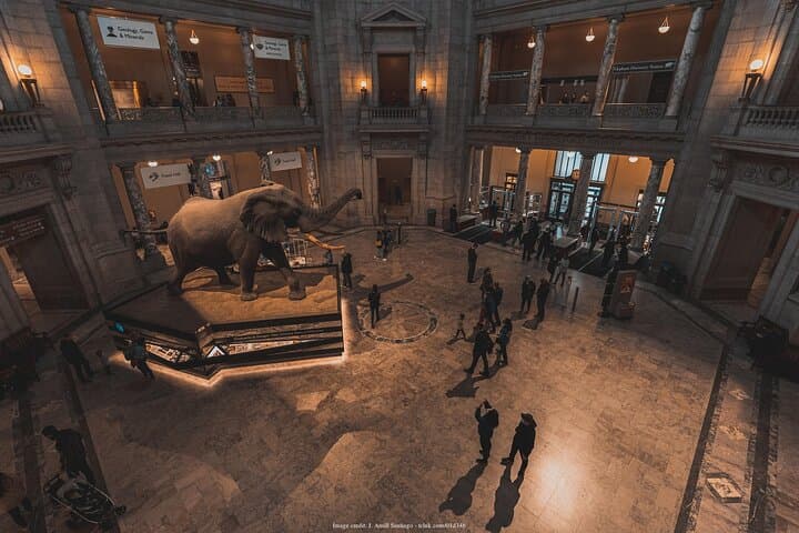 Private Smithsonian Walk: American History & Natural History in 3 Hours