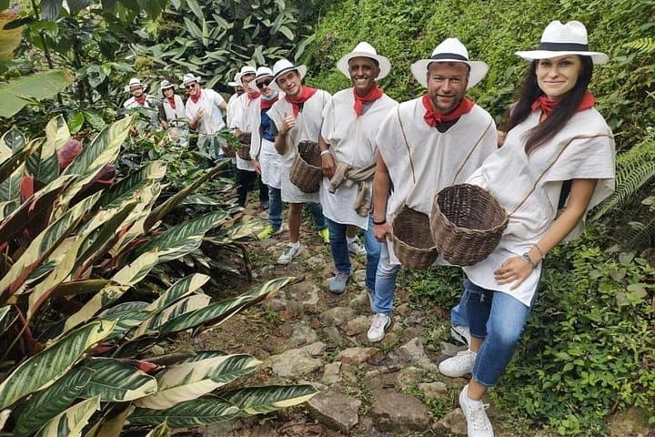 Half-Day Colombian Coffee Farm Tour from Medellín — Roast, Ride & Taste