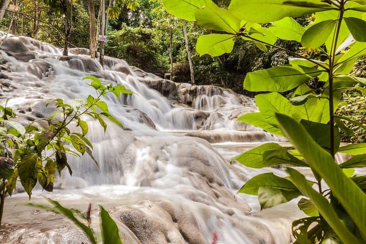 Dunn's River Falls Private Tour from Montego Bay — Waterfall Climb & Zipline Adventure photo 5