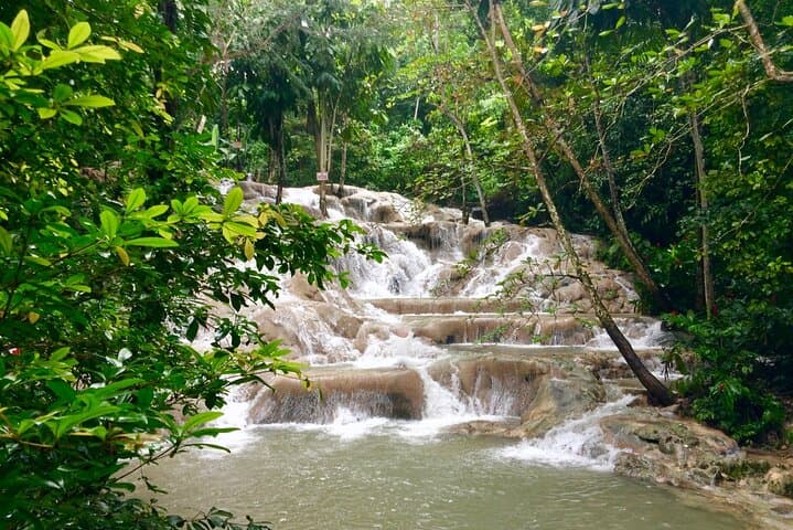 Dunn's River Falls Private Tour from Montego Bay — Waterfall Climb & Zipline Adventure photo 6