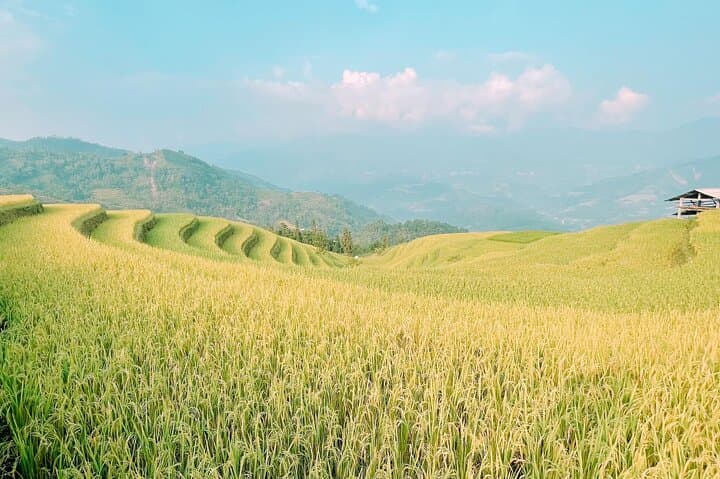 Hoang Su Phi Two-Day Homestay and Terraced Fields Tour from Ha Giang photo 3