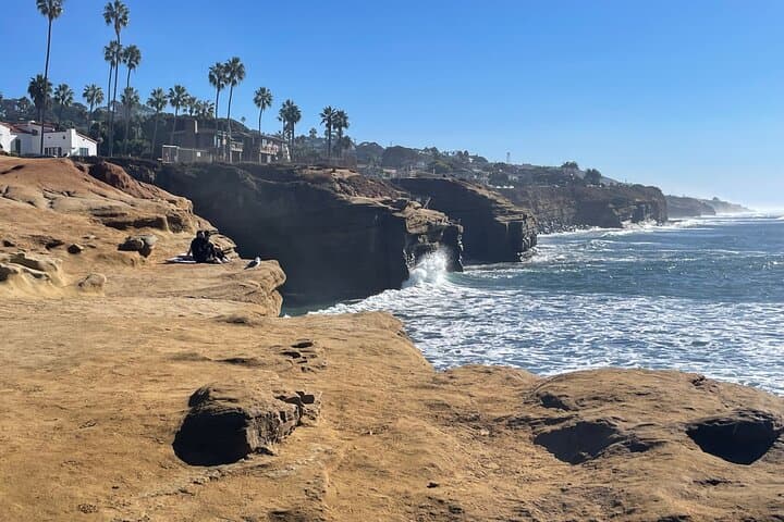 Private 5-Hour San Diego Highlights Tour — Hotel Del, La Jolla & Cabrillo photo 6